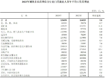 2023年城镇单位平均工资增长：金融业领跑，行业差距缩小(图1)