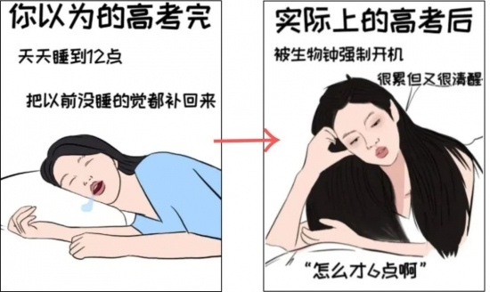 诚信考试不可触碰法律红线(图2)