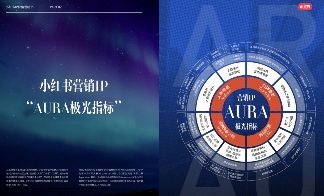 为什么品牌增长,需要小红书IP?(图10) 为什么品牌增长,需要小红书IP?