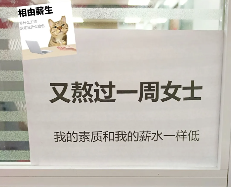 上班发疯 打工轻松，工位文学在小红书上又又又火了