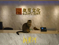 文化公司突发裁员80人引争议，员工质疑解雇程序违法(图2)