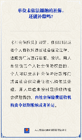 单位未依法缴纳社保费员工可要求补缴权益保护指南(图1)