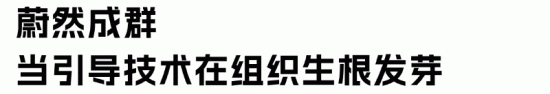 CSA芬兰引导技术助力HR突破职业瓶颈提升业务影响力(图11) CSA芬兰引导技术助力HR突破职业瓶颈提升业务影响力(图11)