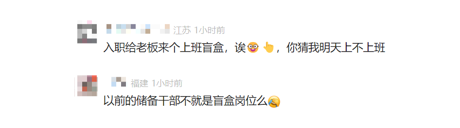 岗位盲盒引争议 求职者权益风险需警惕(图6)