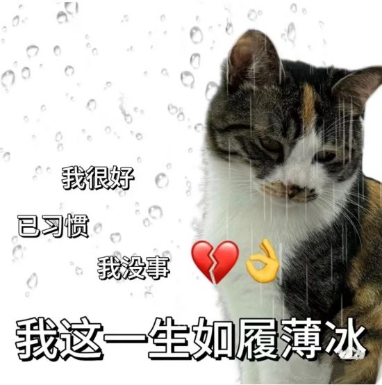 试用期员工如何应对淘汰风险？关键点揭秘(图3)
