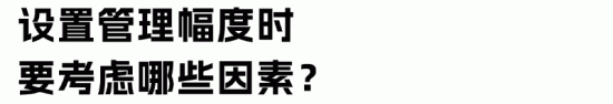管理幅度关键影响因素与组织效率优化策略(图8)