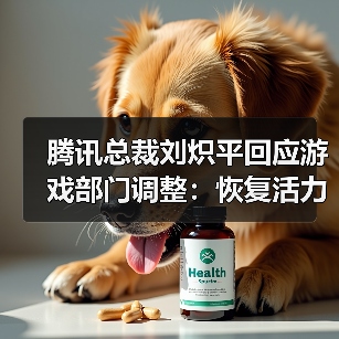 腾讯总裁刘炽平回应游戏部门调整:恢复活力和创造力(图3) 腾讯总裁刘炽平回应游戏部门调整:恢复活力和创造力(图3)