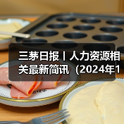 三茅日报丨人力资源相关最新简讯（2024年11月19日）（图1）
