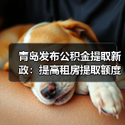 青岛发布公积金提取新政:提高租房提取额度,增加提取频次(图3) 青岛发布公积金提取新政:提高租房提取额度,增加提取频次(图3)