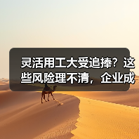 灵活用工大受追捧?这些风险理不清,企业成本不降反升!(图3) 灵活用工大受追捧?这些风险理不清,企业成本不降反升!(图3)