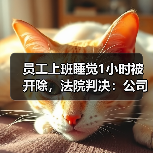 员工上班睡觉1小时被开除,法院判决:公司支付赔偿金35万余元(图3) 员工上班睡觉1小时被开除,法院判决:公司支付赔偿金35万余元(图3)