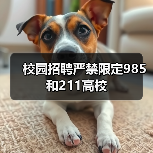 校园招聘严禁限定985和211高校(图1) 校园招聘严禁限定985和211高校(图1)