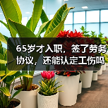 65岁才入职,签了劳务协议,还能认定工伤吗?(二审判决)(图4) 65岁才入职,签了劳务协议,还能认定工伤吗?(二审判决)(图4)