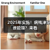 2025年实施！病残津贴谁能领？来看（图3）
