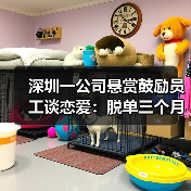 深圳一公司悬赏鼓励员工谈恋爱：脱单三个月后，与对象各获奖1000元（图2）
