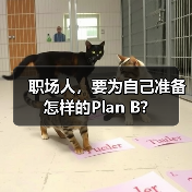 职场人，要为自己准备怎样的Plan B?（图4）