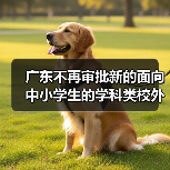 广东不再审批新的面向中小学生的学科类校外培训机构（图2）