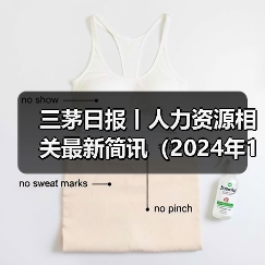 三茅日报丨人力资源相关最新简讯（2024年11月11日）（图3）