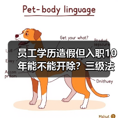 员工学历造假但入职10年能不能开除？三级法院分歧好大！（图1）