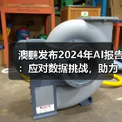 澳鹏发布2024年AI报告：应对数据挑战，助力企业明智决策（图1）