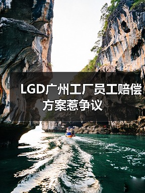 LGD广州工厂员工赔偿方案惹争议（图4）