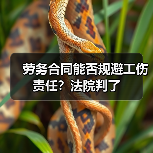 劳务合同能否规避工伤责任?法院判了(图1) 劳务合同能否规避工伤责任?法院判了(图1)