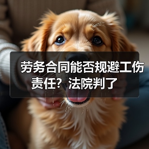 劳务合同能否规避工伤责任?法院判了(图4) 劳务合同能否规避工伤责任?法院判了(图4)