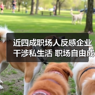 近四成职场人反感企业干涉私生活 职场自由成核心诉求(图3) 近四成职场人反感企业干涉私生活 职场自由成核心诉求(图3)