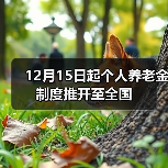 12月15日起个人养老金制度推开至全国(图1) 12月15日起个人养老金制度推开至全国(图1)