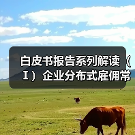 白皮书报告系列解读(Ⅰ)企业分布式雇佣常态化,10.5%的企业正在积极探索出海用工(图4) 白皮书报告系列解读(Ⅰ)企业分布式雇佣常态化,10.5%的企业正在积极探索出海用工(图4)
