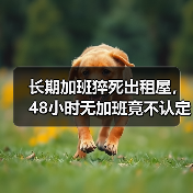 长期加班猝死出租屋,48小时无加班竟不认定工伤?(图4) 长期加班猝死出租屋,48小时无加班竟不认定工伤?(图4)