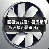 回县城发展:县漂是明智选择还是跟风?(图1) 回县城发展:县漂是明智选择还是跟风?(图1)