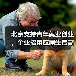 北京支持青年就业创业，企业招用应届生最高可获1000元补贴（图3）