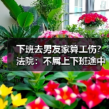 下班去男友家算工伤?法院:不属上下班途中(图3) 下班去男友家算工伤?法院:不属上下班途中(图3)