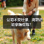 公司不交社保,离职还能拿赔偿吗?(图3) 公司不交社保,离职还能拿赔偿吗?(图3)