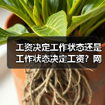 工资决定工作状态还是工作状态决定工资？网友真实经历揭秘（图4）