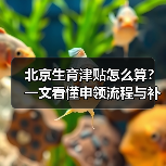 北京生育津贴怎么算?一文看懂申领流程与补贴标准(图2) 北京生育津贴怎么算?一文看懂申领流程与补贴标准(图2)