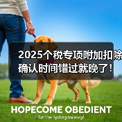 2025个税专项附加扣除确认时间错过就晚了!申报指南来了(图1) 2025个税专项附加扣除确认时间错过就晚了!申报指南来了(图1)