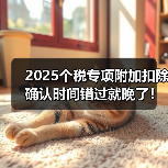 2025个税专项附加扣除确认时间错过就晚了!申报指南来了(图3) 2025个税专项附加扣除确认时间错过就晚了!申报指南来了(图3)