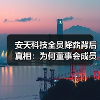 安天科技全员降薪背后真相:为何董事会成员零薪酬?(图1) 安天科技全员降薪背后真相:为何董事会成员零薪酬?(图1)