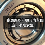 张勇离职?哪吒汽车回应:艰难求生(图1) 张勇离职?哪吒汽车回应:艰难求生(图1)