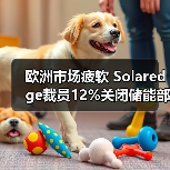 欧洲市场疲软 Solaredge裁员12%关闭储能部门应对竞争(图4) 欧洲市场疲软 Solaredge裁员12%关闭储能部门应对竞争(图4)