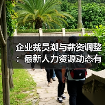 企业裁员潮与薪资调整:最新人力资源动态有哪些?(图4) 企业裁员潮与薪资调整:最新人力资源动态有哪些?(图4)