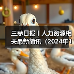 三茅日报丨人力资源相关最新简讯(2024年12月23日)(图4) 三茅日报丨人力资源相关最新简讯(2024年12月23日)(图4)