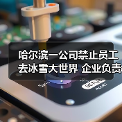 哈尔滨一公司禁止员工去冰雪大世界 企业负责人回应:属实(图4) 哈尔滨一公司禁止员工去冰雪大世界 企业负责人回应:属实(图4)