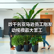 数千名亚马逊员工刚发动规模最大罢工(图3) 数千名亚马逊员工刚发动规模最大罢工(图3)