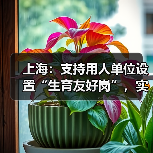 上海:支持用人单位设置“生育友好岗”,实行弹性工作制(图2) 上海:支持用人单位设置“生育友好岗”,实行弹性工作制(图2)
