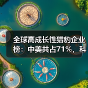 全球高成长性猎豹企业榜:中美共占71%,科技创新引领增长(图2) 全球高成长性猎豹企业榜:中美共占71%,科技创新引领增长(图2)