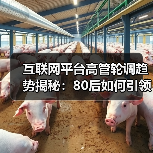 互联网平台高管轮调趋势揭秘:80后如何引领转型升级?(图4) 互联网平台高管轮调趋势揭秘:80后如何引领转型升级?(图4)