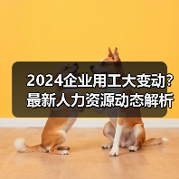 2024企业用工大变动?最新人力资源动态解析(图2) 2024企业用工大变动?最新人力资源动态解析(图2)